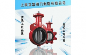 手动对夹式蝶阀