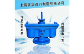 QB2双口排气阀