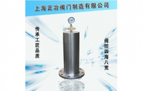 ?YQ9000-16/25P活塞式水锤清理器